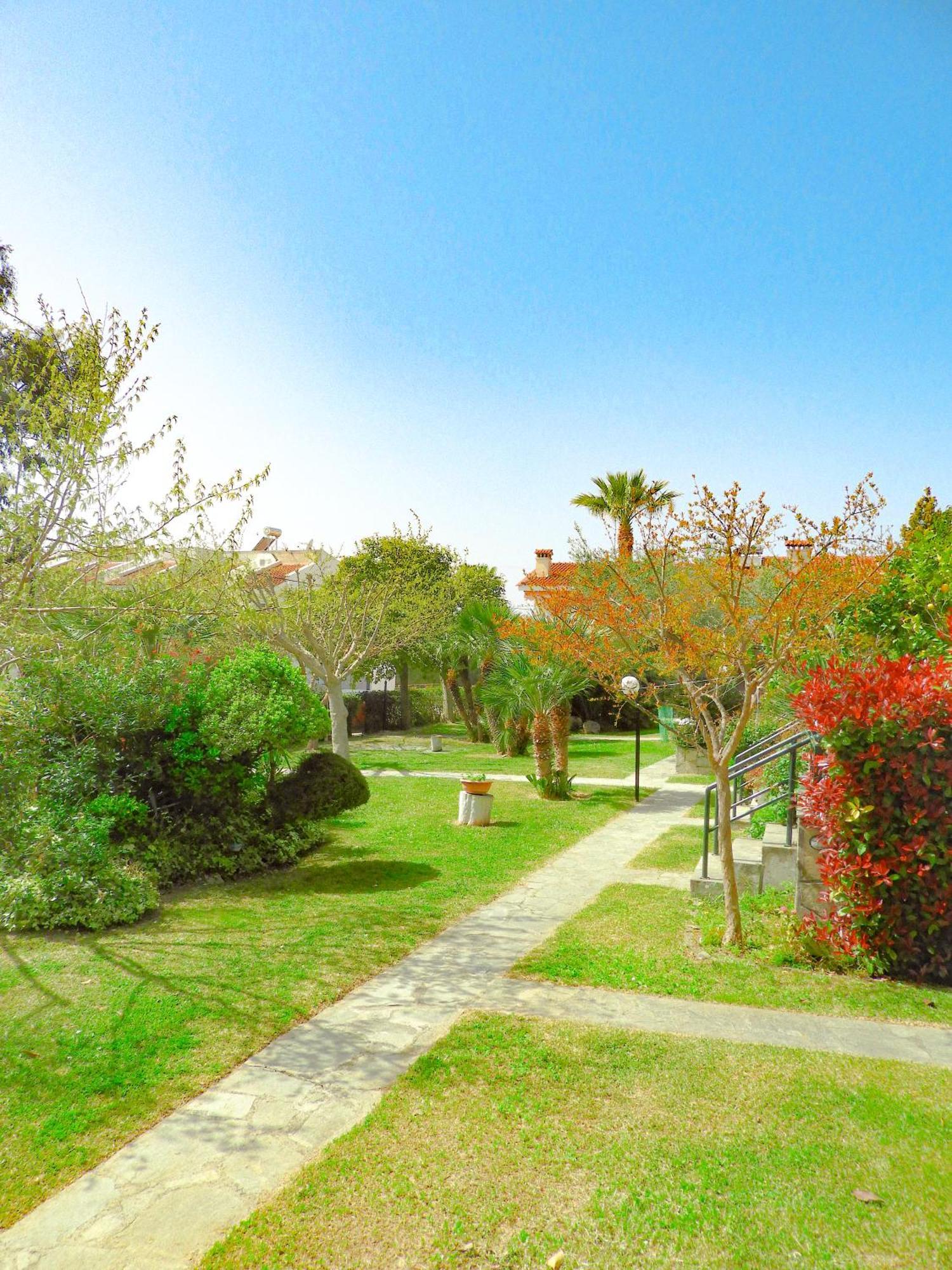 Delmare Manchy's Summer Oasis