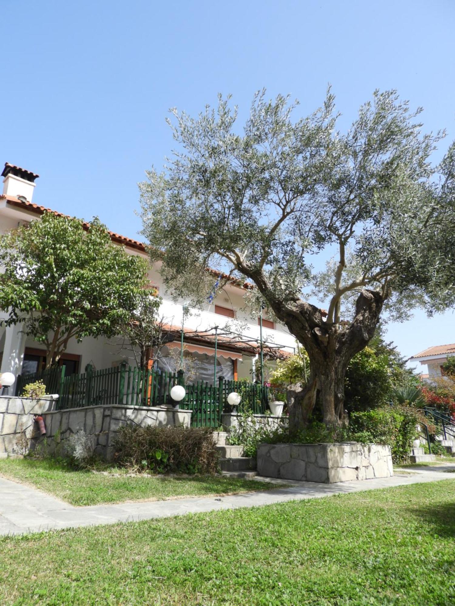 Holiday home Delmare Manchy's Summer Oasis Skala Fourkas